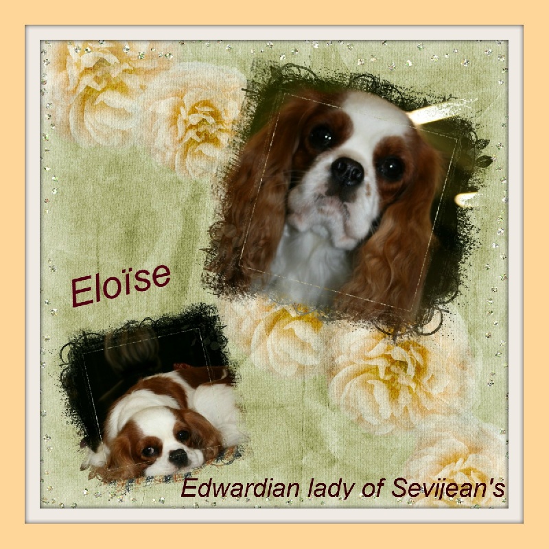 Edwardian lady of Sevijean's